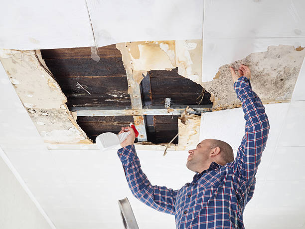 Mold Remediation for Rental Properties in Luray, VA